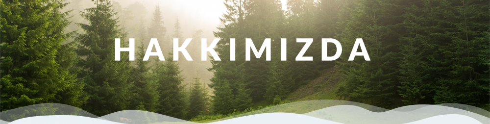 izmirde piknik alanı